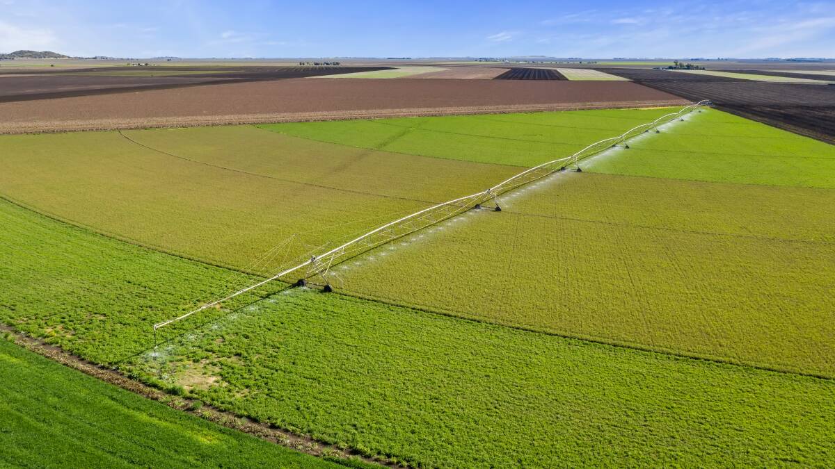 Webster Cavanagh: Inner Darling Downs farming property Yargullen is being sold through by an expressions of interest process.
