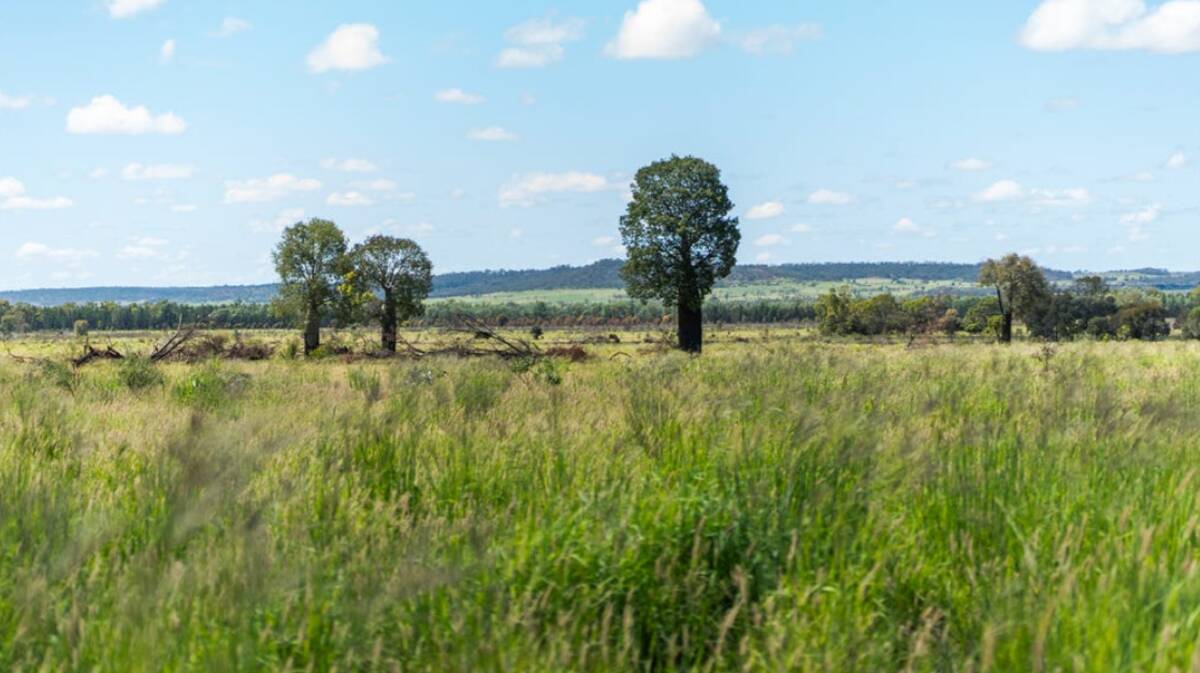 Significant 8147 hectare exclusion fenced property Mount Lonsdale is back on the market. Picture supplied
