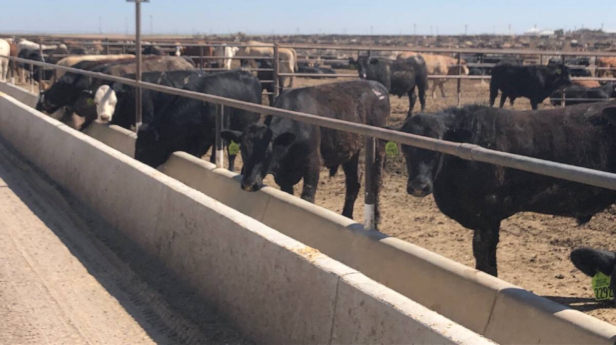 Finney County Feedyard is in the process of being increased to 65,000 head.