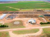 NUTRIEN HARCOURTS: Bellevue is well located to both cattle and commodity markets, ideally positioning the property as a finishing depot.