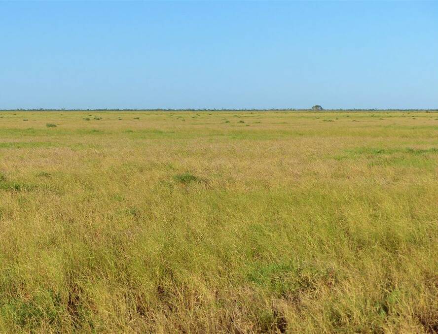 Yambutta covers 41,083 hectares (101,516 acres) in four grazing homestead perpetual leases.