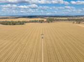 Outstanding inner Darling Downs property Boundary Farms has been listed for $22 million after being put to auction. Picture supplied