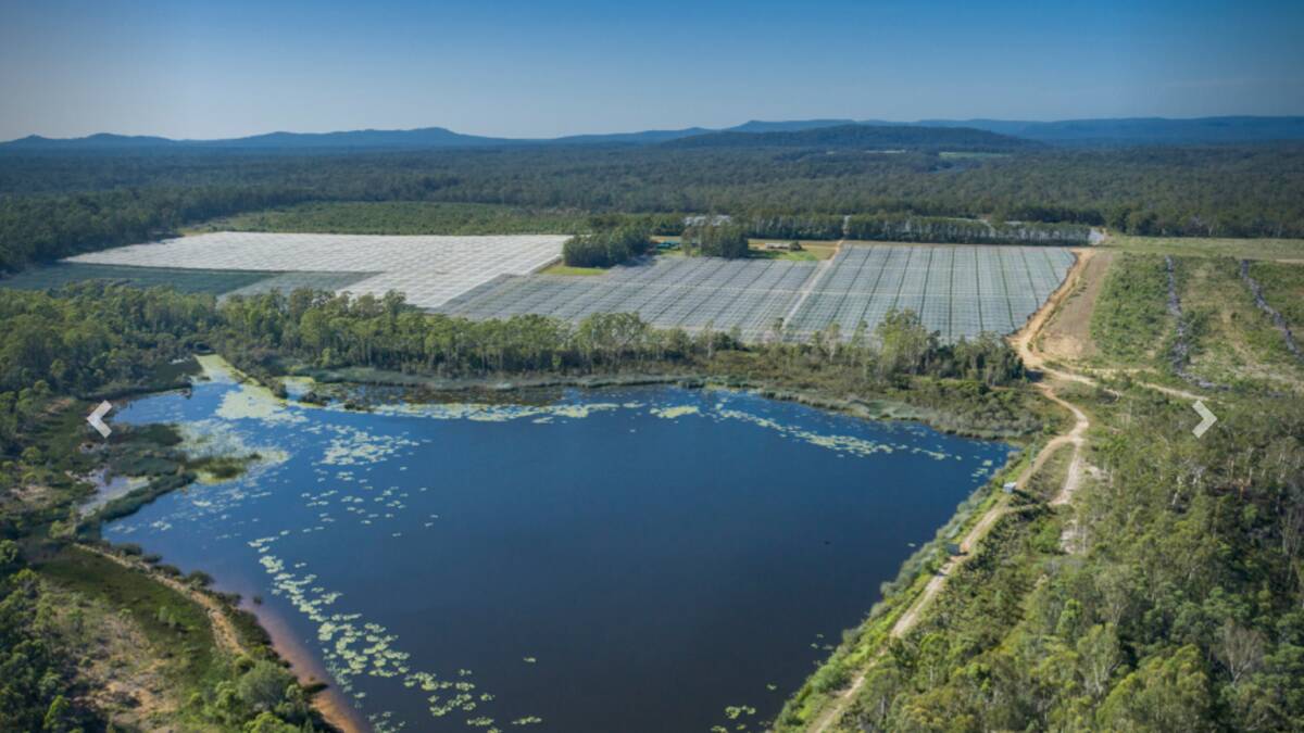 Grafton Blu Farm is 791 hectares of prime positioned land, with 40ha dedicated to the production of blueberries. Picture - supplied