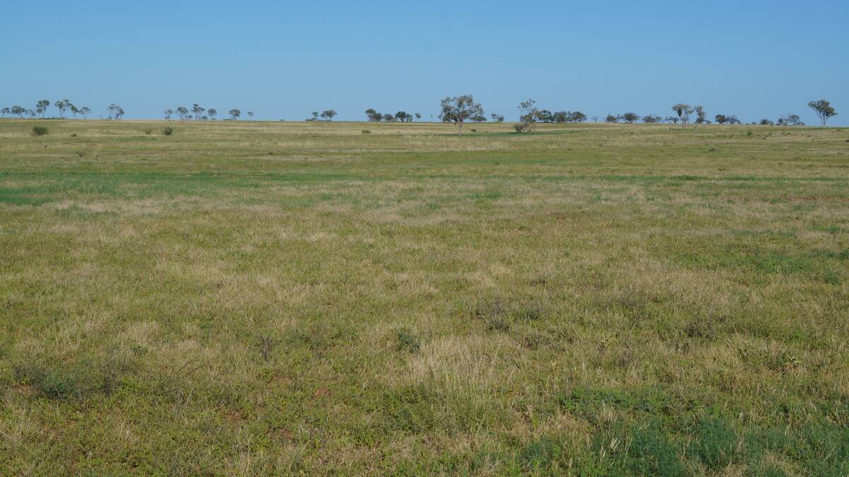 LANDMARK HARCOURTS: The 15,666 hectare Longreach property Kapunda is on the market for $3.1 million.