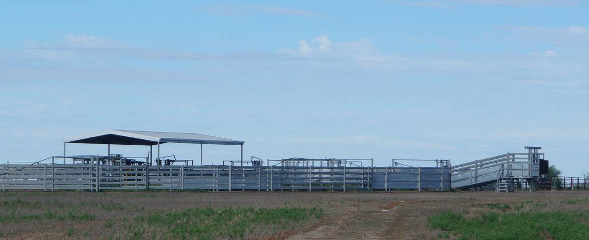 The Pro-Way design cattle yards are centrally located. 