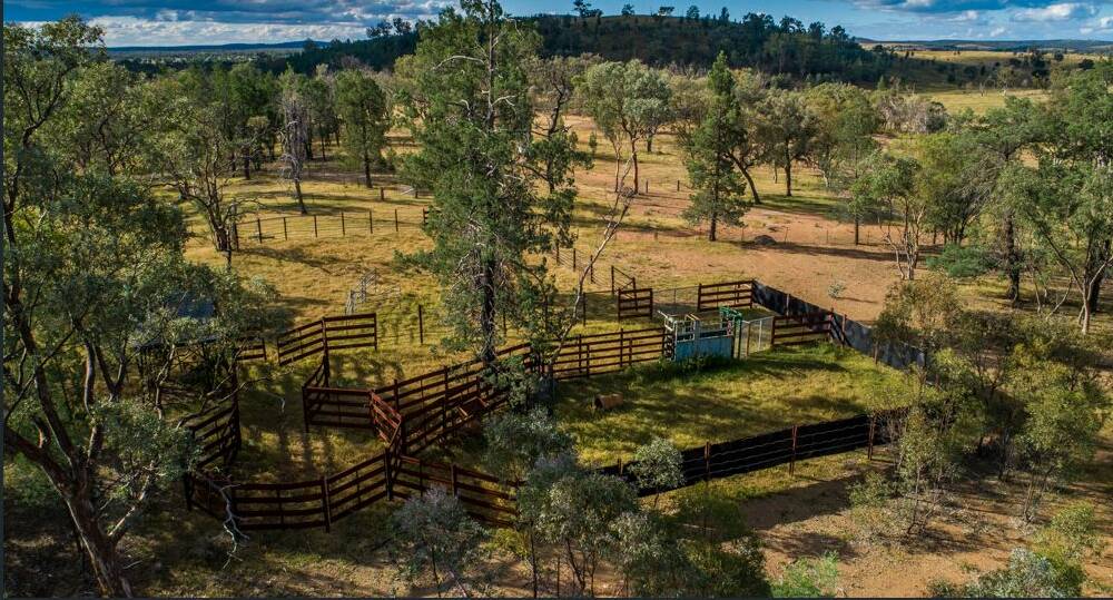 The steel cattle yards and sheep handling yards are both located in middle of property.