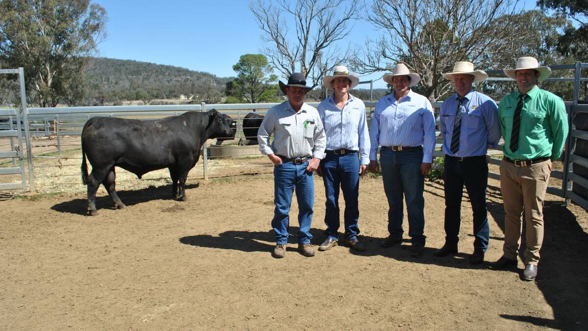 Agents Andrew Costello, Nutrien Livestock, and Matthew Grayson, George and Fuhrmann, with Brad Saunders representing buyer DSK Angus, Coonabarabran, NSW, with breeders Aaron Wise and Ben Lobergeiger, Glenisa Angus, Glen Aplin, with the sale topping $30,000 Glenisa K Monty Q179.