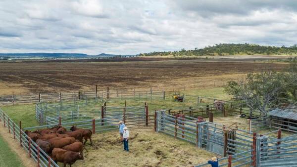 There are equipped, steel and portable panel cattle yards.