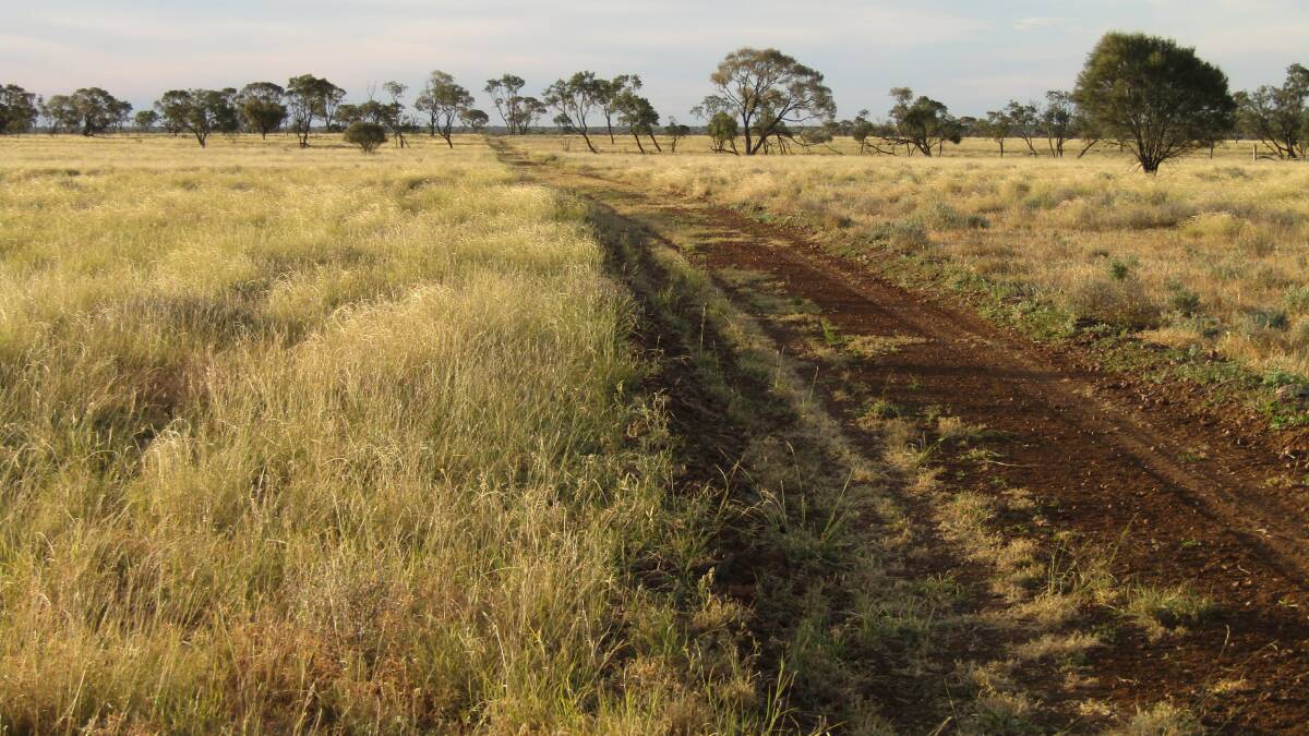 The Waroona aggregation is listed at $130/acre (about $13.34 million) through TopX Longreach.
