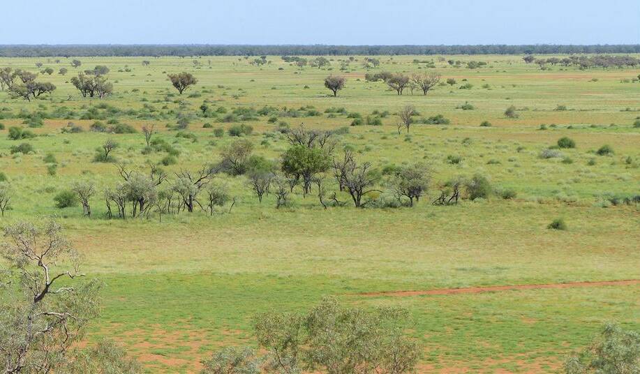 The versatile Quilpie property Yambutta will auctioned by Nutrien Harcourts on July 13.