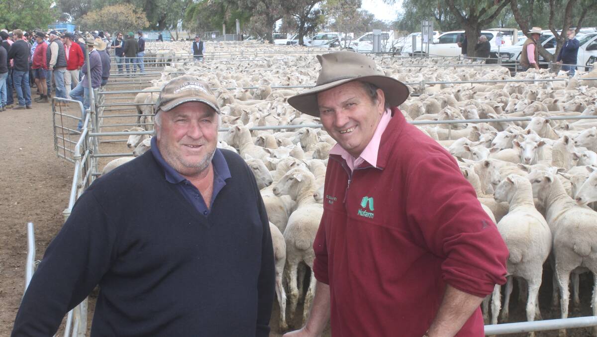 Shane George Bealah and Graeme Summerhayes, Elders Rainbow sold the opening pen of BLM-cross ewes at $252 a head 