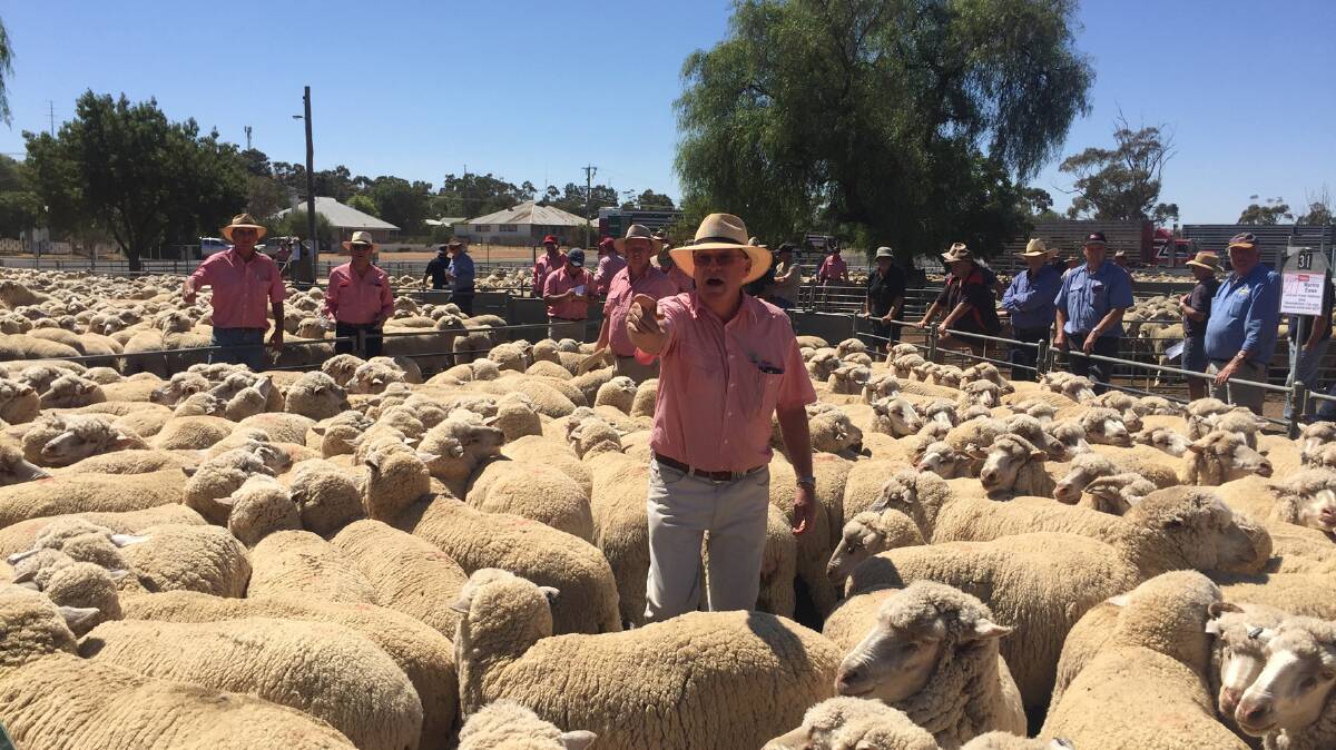 Jim Coffey, Elders takes the winning bid at $184 for these Merino ewes.