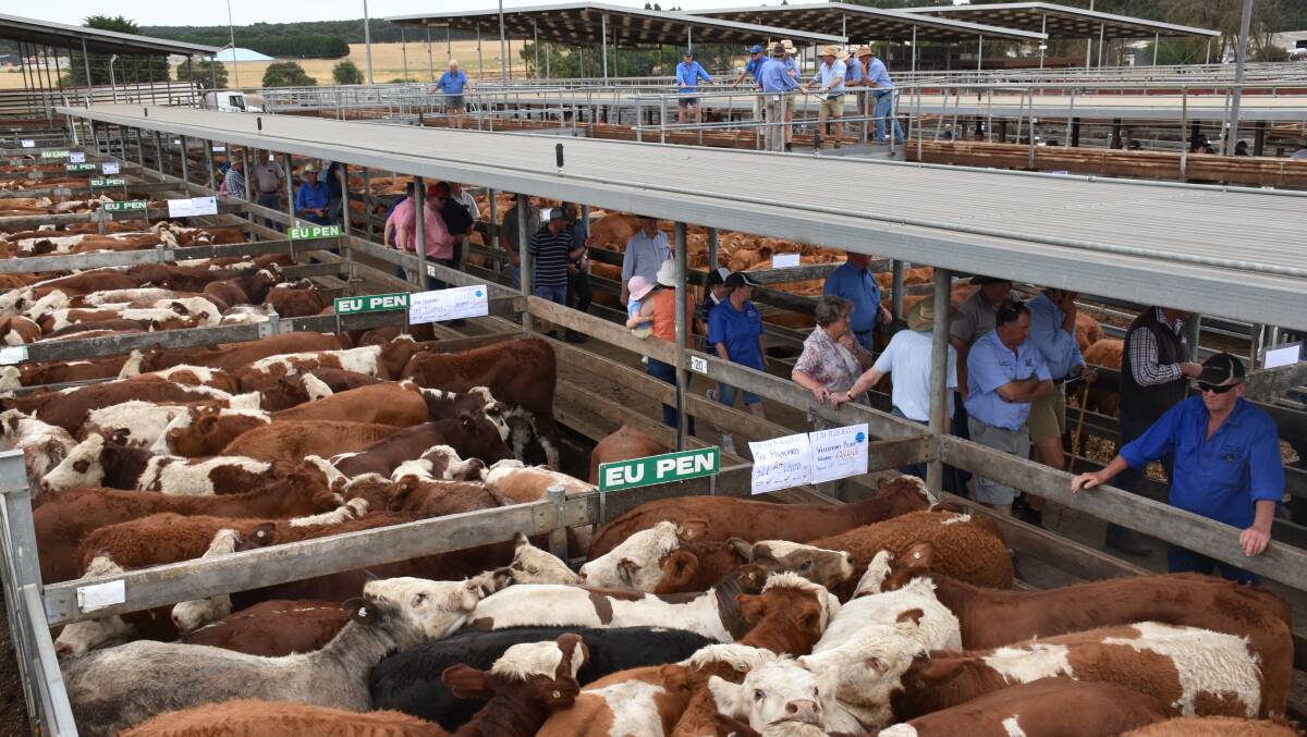 Southern Grampians Shire have plans to roof the first 100 pens of cattleyard selling area, remaining uncovered areas of the draft and an upgrade of its saleyards canteen. 