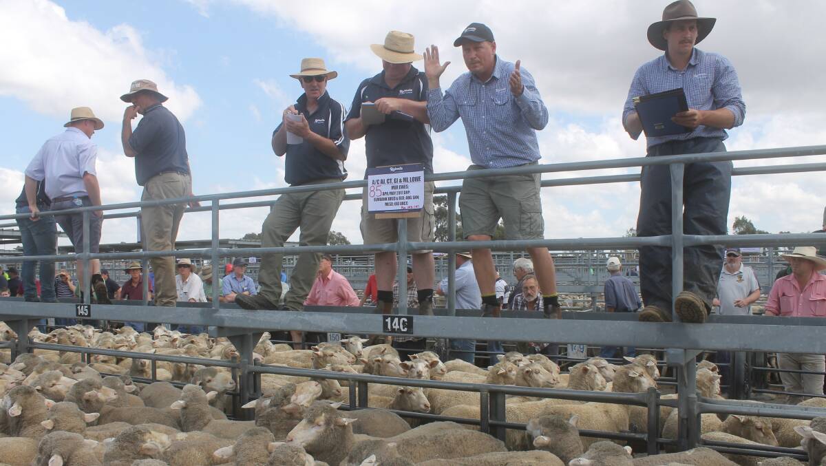 Horsham agents were disappointed last week when processor buyers put the cleaners through their fortnightly lamb market.