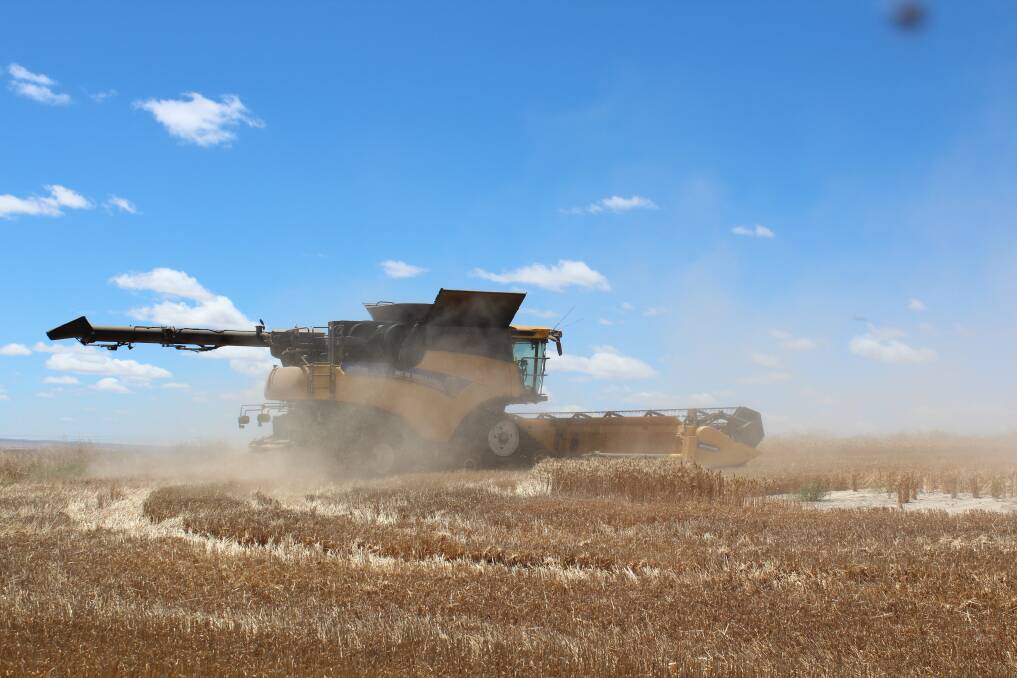 Bad harvest results overseas will help Australian wheat prices rally.