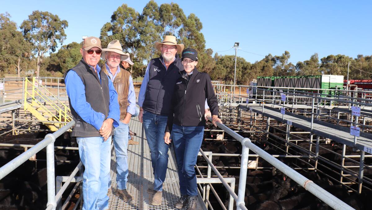  Alcoa Farmlands, Wagerup/Pinjarra, were the volume vendor at the Elders beef store cattle sale at Boyanup last week. Alcoa Farmlands farm co-ordinators Gavin Clark (left) and Richard Gardiner, and Alcoa Farmlands manager, Vaughn Byrd, caught up with Virbac central WA area sales manager Kylie Meloury.