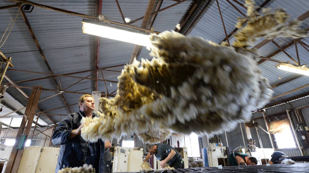 Wool market rallies on second day of selling