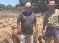 Nutrien livestock agent Jeff Oakley, Peterborough, SA, with Michael Sandland, Black Rock, SA, who sold wether lambs at Jamestown, SA. Picture by Kiara Stacey