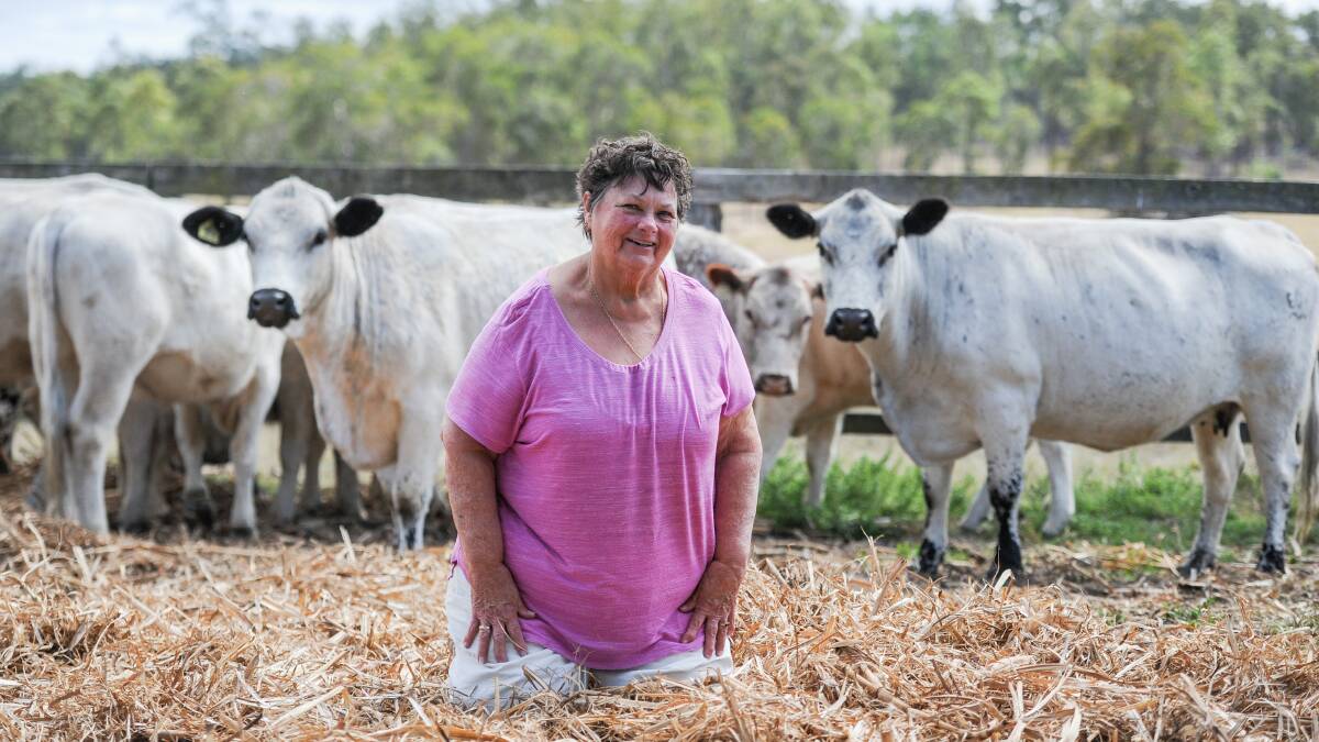 Heather Britten and some of her prized cows. 